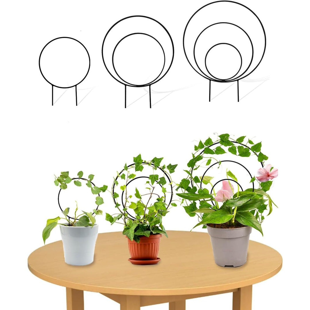 3 Pcs Unique Round Hoya Garden Trellis, Different Small Houseplant Trellis for Climbing Plant Indoor Outdoor, Garden Trellis Plant Support for Potted Ivy and Flowers (Black) - Just Closeouts Canada Inc.