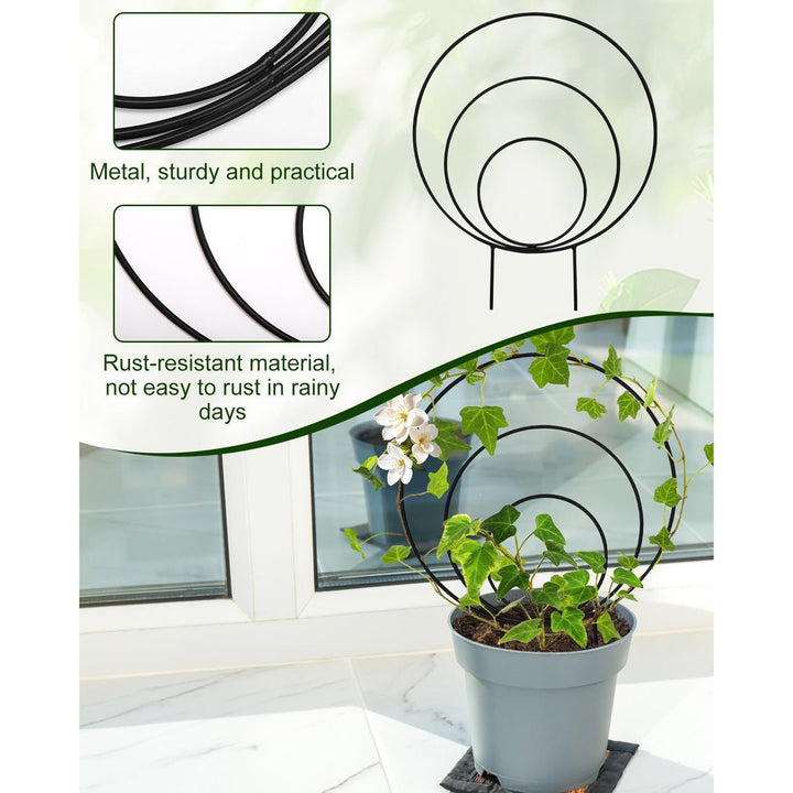 3 Pcs Unique Round Hoya Garden Trellis, Different Small Houseplant Trellis for Climbing Plant Indoor Outdoor, Garden Trellis Plant Support for Potted Ivy and Flowers (Black) - Just Closeouts Canada Inc.