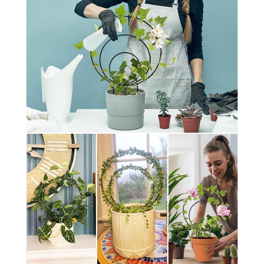 3 Pcs Unique Round Hoya Garden Trellis, Different Small Houseplant Trellis for Climbing Plant Indoor Outdoor, Garden Trellis Plant Support for Potted Ivy and Flowers (Black) - Just Closeouts Canada Inc.