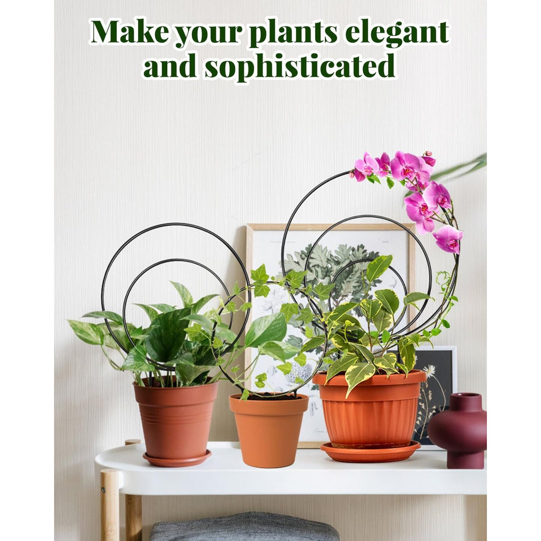 3 Pcs Unique Round Hoya Garden Trellis, Different Small Houseplant Trellis for Climbing Plant Indoor Outdoor, Garden Trellis Plant Support for Potted Ivy and Flowers (Black) - Just Closeouts Canada Inc.