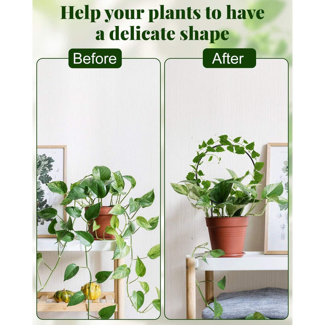 3 Pcs Unique Round Hoya Garden Trellis, Different Small Houseplant Trellis for Climbing Plant Indoor Outdoor, Garden Trellis Plant Support for Potted Ivy and Flowers (Black) - Just Closeouts Canada Inc.