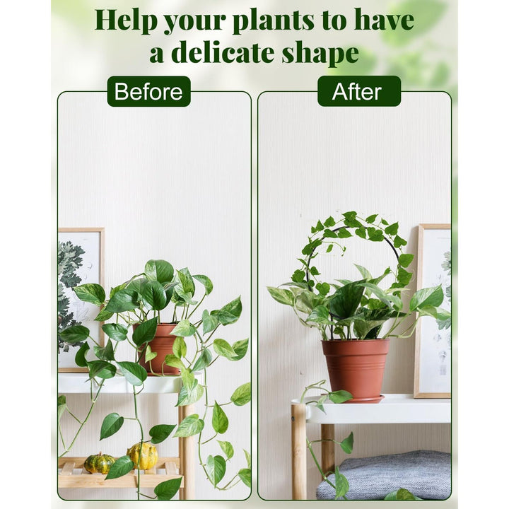 3 Pcs Unique Round Hoya Garden Trellis, Different Small Houseplant Trellis for Climbing Plant Indoor Outdoor, Garden Trellis Plant Support for Potted Ivy and Flowers (Black) - Just Closeouts Canada Inc.