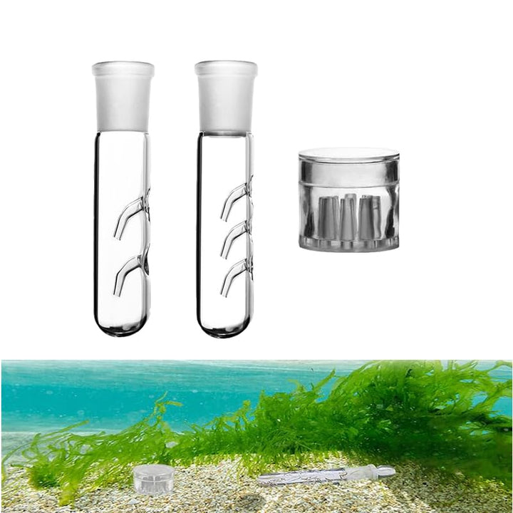 3-Piece Aquarium Planaria Trap Set, Glass and Acrylic - Just Closeouts Canada Inc.X004FFRXC5