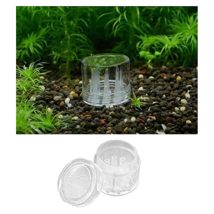 3-Piece Aquarium Planaria Trap Set, Glass and Acrylic - Just Closeouts Canada Inc.X004FFRXC5