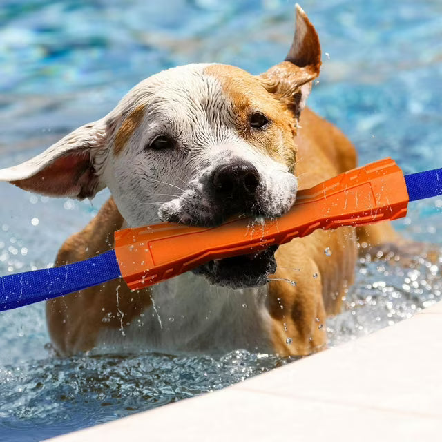 NERF Dog Megaton Competition Stick Dog Toy