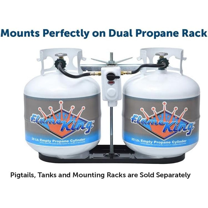 2-Stage Auto Changeover LP Propane Gas Regulator for RVs, Vans, Trailers, Silver