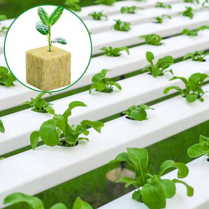60Pcs Rockwool Grow Cubes - 1inch Stonewool Starter Plugs for Rapid Plant Growth - Starter Cubes Plugs with Holes for Hydroponic, Seeds Germination and Soilless Growing - Just Closeouts Canada Inc.