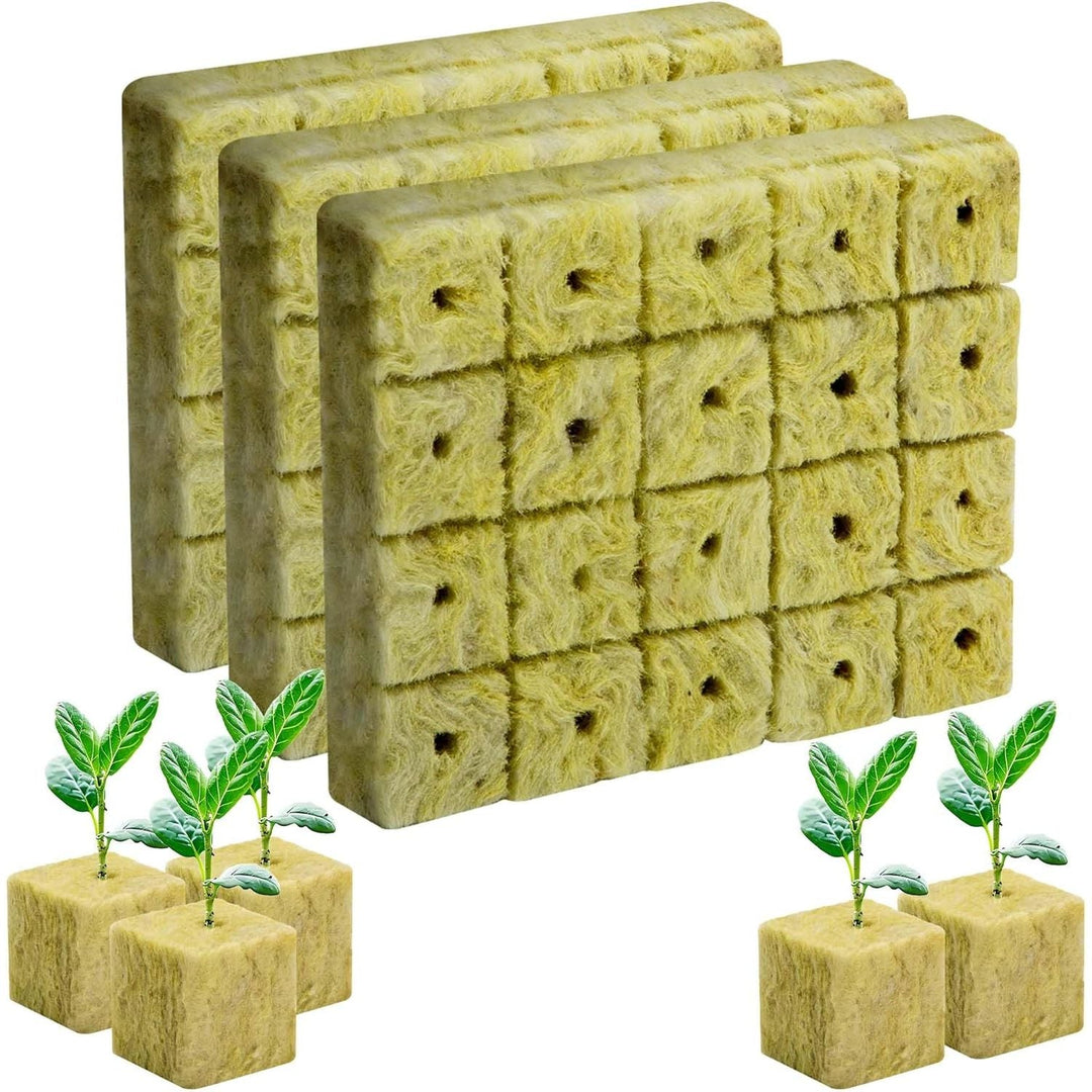 60Pcs Rockwool Grow Cubes - 1inch Stonewool Starter Plugs for Rapid Plant Growth - Starter Cubes Plugs with Holes for Hydroponic, Seeds Germination and Soilless Growing - Just Closeouts Canada Inc.