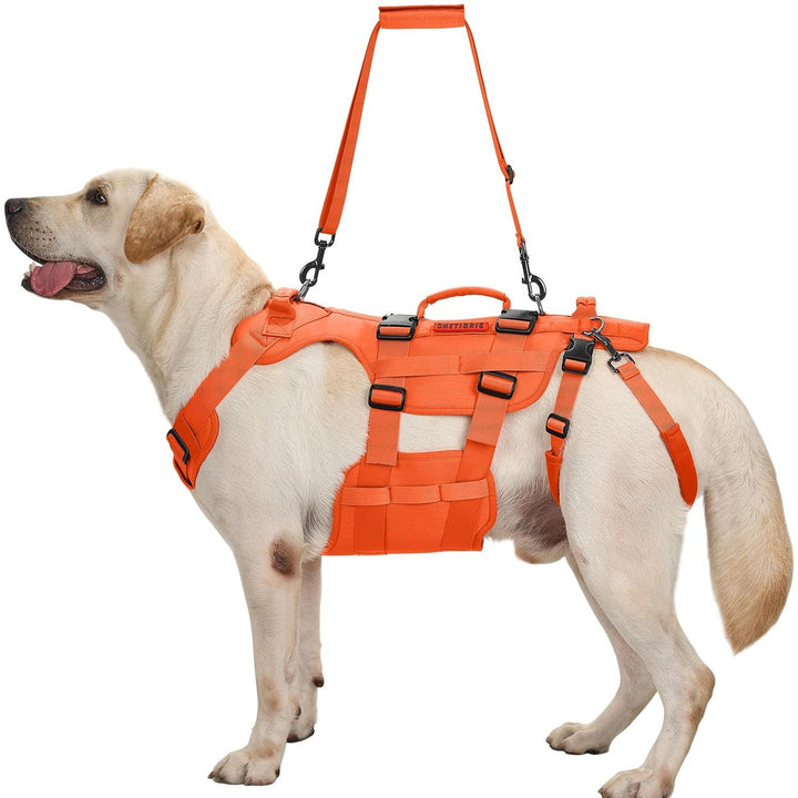 Lift Harness for Large Dogs, Support Sling for Back Legs, Lifter With Handles Invictus Multifunctional Mobility Assistance Vest Hip Support Brace (Orange, M)