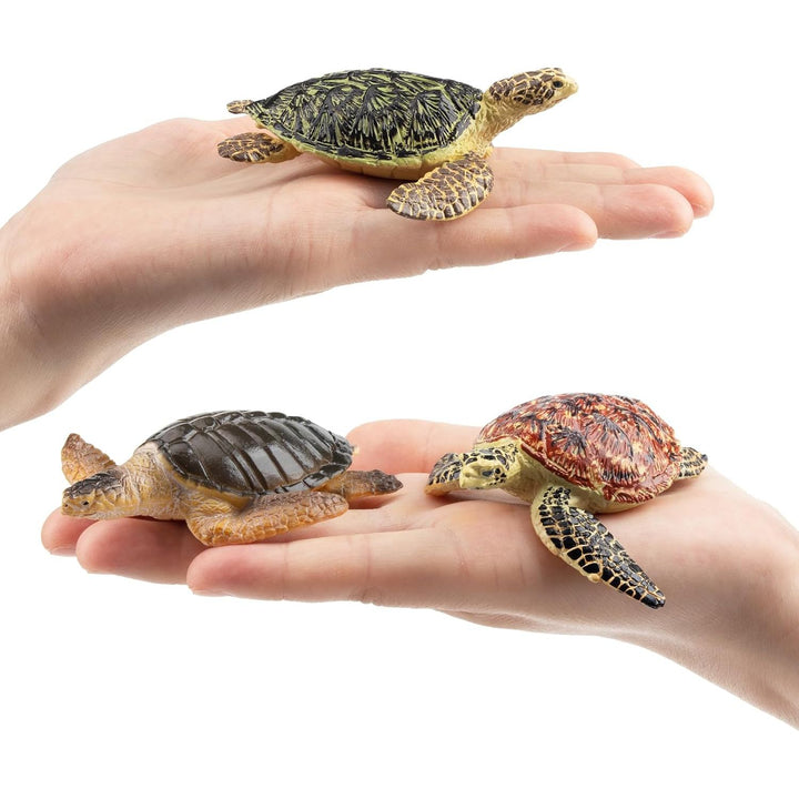 6PCS Realistic Sea Turtle Figurines, Ocean Sea Animals Figures Set Includes Different Varieties of Turtles, Educational Toy Cake Toppers Christmas Birthday Gift for Kids Toddlers