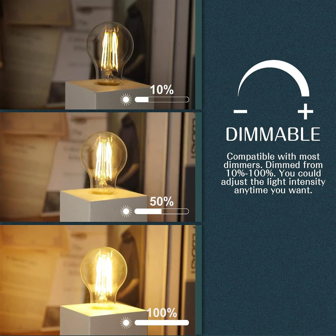 Vintage LED Edison Bulbs 60 Watt Equivalent Dimmable, 8W 800LM 2700K W ...