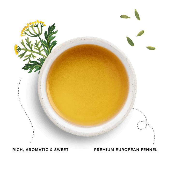 96 Degrees Tea Fennel Tea, 20 Tea Bags - Just Closeouts Canada Inc.5065018349270