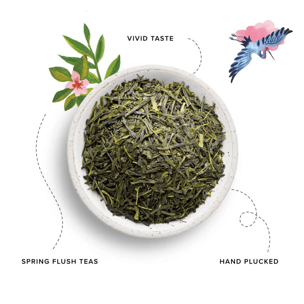 96 Degrees Tea Japanese Green Tea, 20 Tea Bags - Just Closeouts Canada Inc.5065018349249
