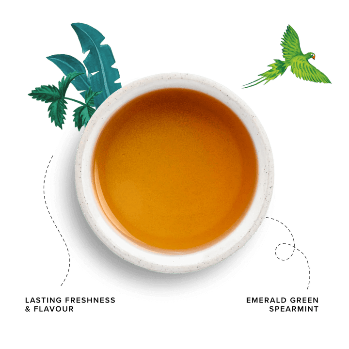 96 Degrees Tea Mint Tea, 20 Tea Bags - Just Closeouts Canada Inc.5065018349263