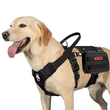 Service Dog Vest Harness, Service Dog Cape Guardian Dog Molle Backpack with Pouches for Medium and Large Dogs (M, Black)