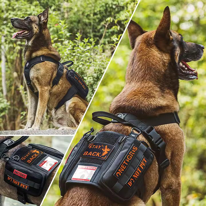 Service Dog Vest Harness, Service Dog Cape Guardian Dog Molle Backpack with Pouches for Medium and Large Dogs (M, Black)