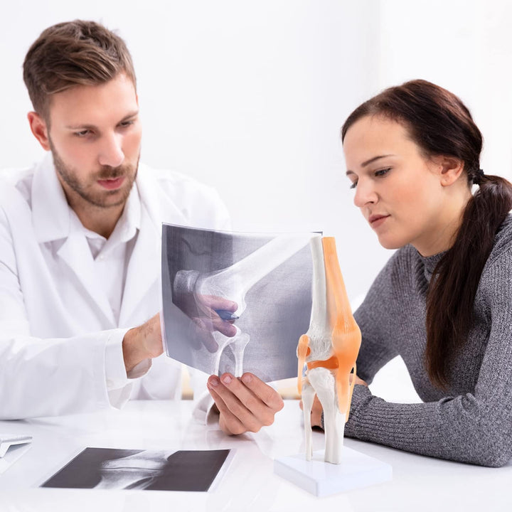 Anatomical Medical Knee Joint with Ligaments Model, Life Size Human Knee Joint Model Knee Joint Model for Skeleton Anatomy Study Teach with Ligament Model, for Display Teaching - Just Closeouts Canada Inc.X004GZTZK7