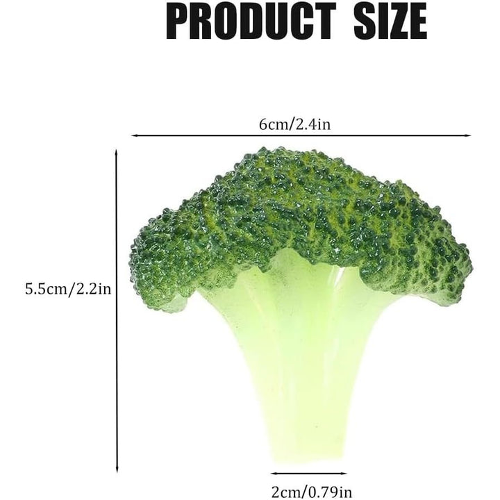 Artificial Broccoli Florets for Display, 6 Pieces - Just Closeouts Canada Inc.X004I7ZMHN
