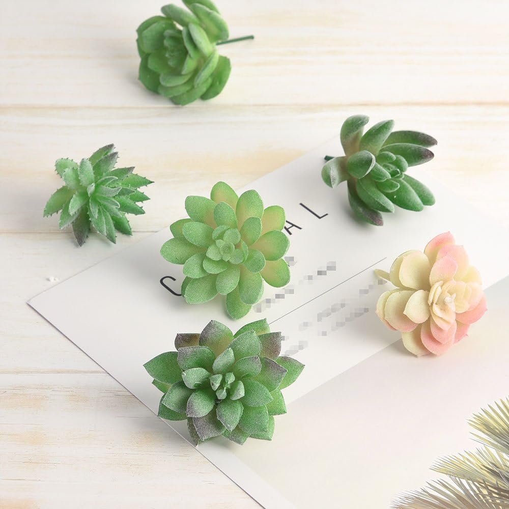 Artificial Unpotted Succulent Picks, 16-Piece Assorted Set - Just Closeouts Canada Inc.