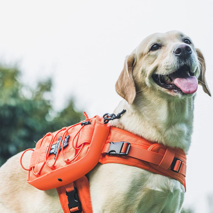 Backpack for Dogs to Wear Pet Back Pack with Padded Handle and Leash Attachment Point for Dog with 17" - 23.5" Neck Girth and 25" - 31" Chest (Orange, Large) - Just Closeouts Canada Inc.