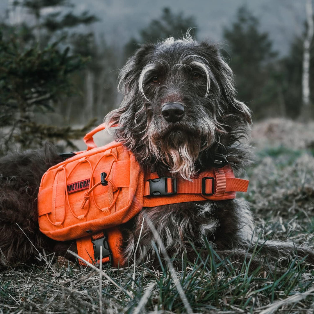 Backpack for Dogs to Wear Pet Back Pack with Padded Handle and Leash Attachment Point for Dog with 17" - 23.5" Neck Girth and 25" - 31" Chest (Orange, Medium) - Just Closeouts Canada Inc.