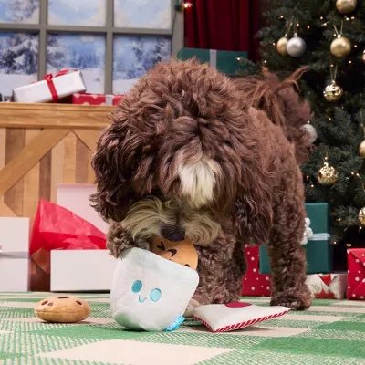 BARK Holiday Santa's Workchomp Letter Fur Santa Dog Plush Toy - Just Closeouts Canada Inc.840134688664