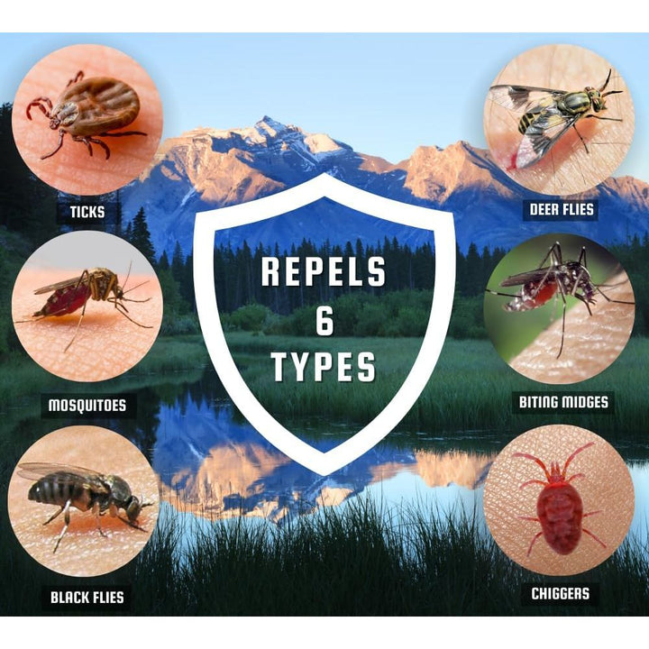 Canadian Shield Insect Repellent - 30% DEET Aerosol, 230G-CSA02 - Just Closeouts Canada Inc.