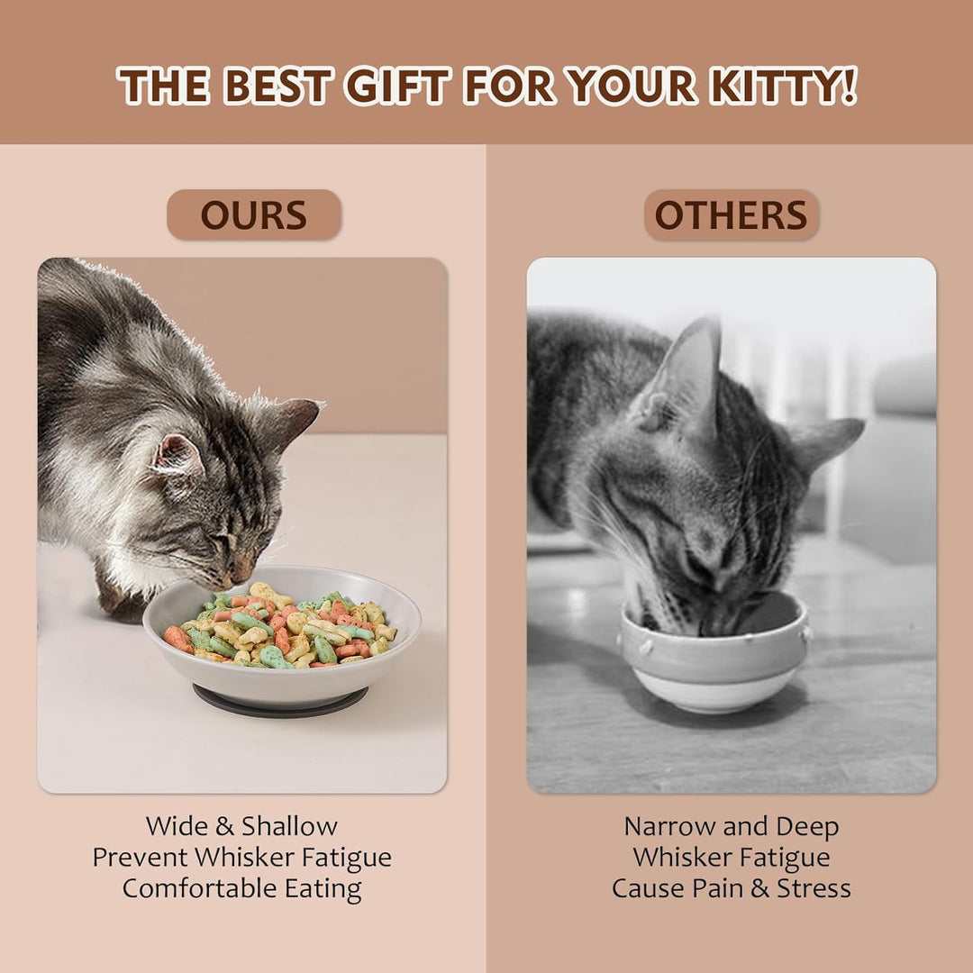 Ceramic Cat Food Bowl Set - Colorful Cat Feeding Bowls with Non Slip Mat - Wide Shallow Cat Bowl Whisker Friendly - Cat Plates - Cute Cat Dish - Microwave Dishwasher Safe - 6 Pack - 8.5 oz - 5.75 inch - Just Closeouts Canada Inc.