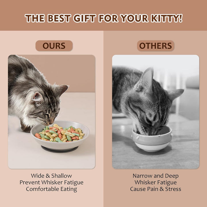 Ceramic Cat Food Bowl Set - Colorful Cat Feeding Bowls with Non Slip Mat - Wide Shallow Cat Bowl Whisker Friendly - Cat Plates - Cute Cat Dish - Microwave Dishwasher Safe - 6 Pack - 8.5 oz - 5.75 inch - Just Closeouts Canada Inc.