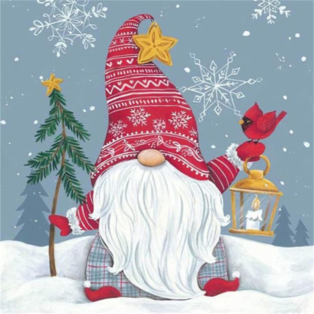Christmas Gnome and Cardinal 5D Diamond Painting Kit, 30 x 30 cm - Just Closeouts Canada Inc.X0040SXH3B