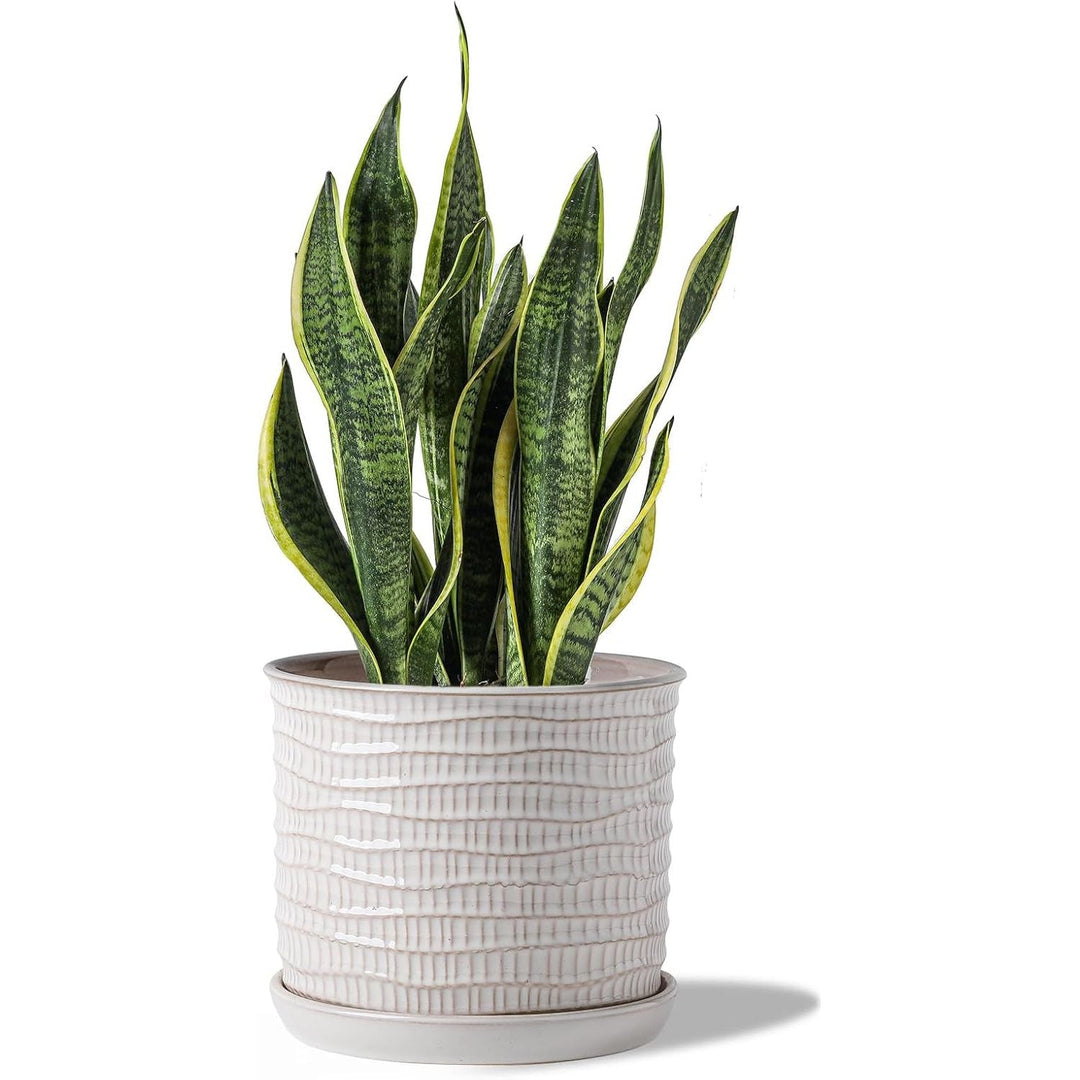 Chubacoo 8 Inch Plant Pot : Ceramic Planter Pot with Drainage Hole & Saucer - Cream White Flower Pot for Indoor & Outdoor Plants - Decorative Flowerpot with Separate Tray(Wave Striped) - Just Closeouts Canada Inc.