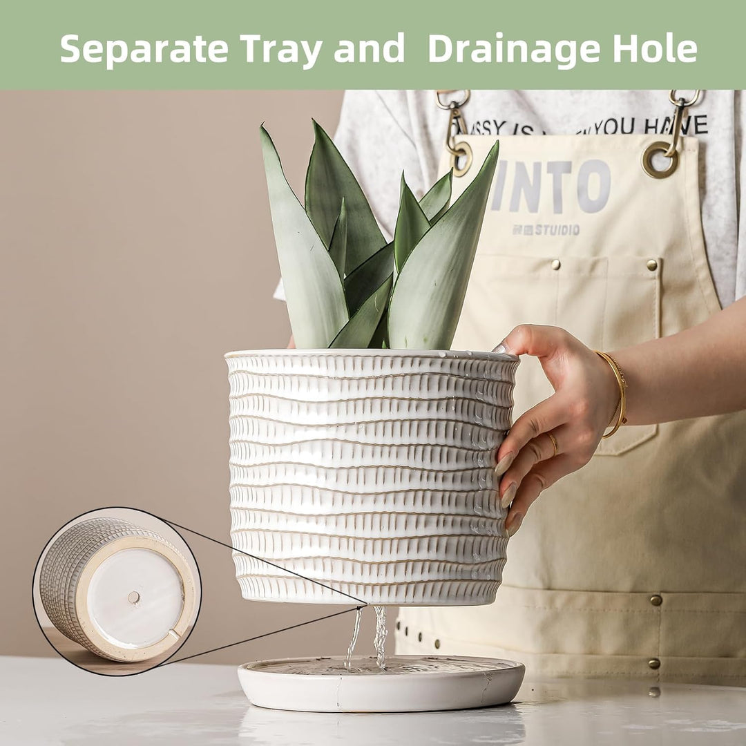 Chubacoo 8 Inch Plant Pot : Ceramic Planter Pot with Drainage Hole & Saucer - Cream White Flower Pot for Indoor & Outdoor Plants - Decorative Flowerpot with Separate Tray(Wave Striped) - Just Closeouts Canada Inc.