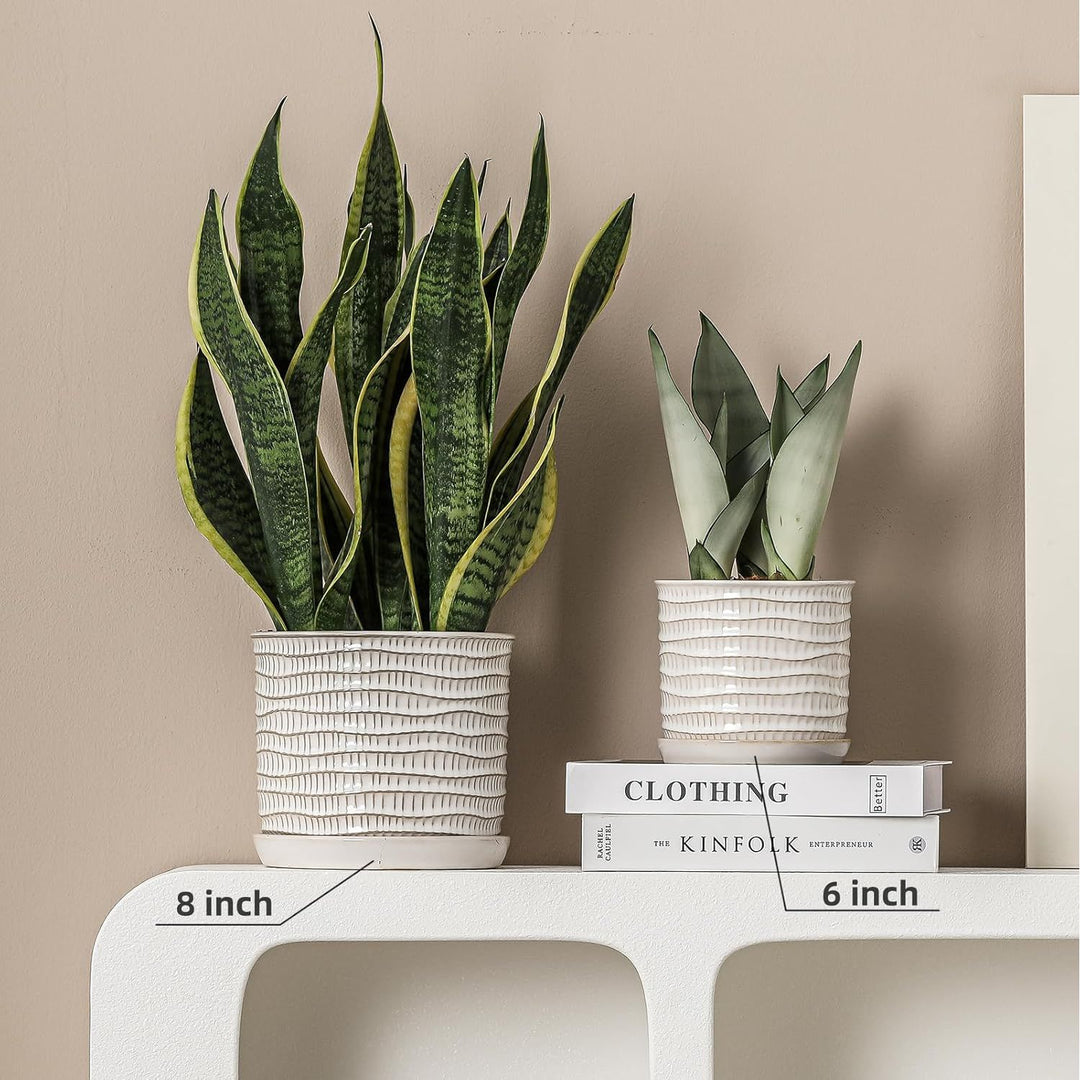 Chubacoo 8 Inch Plant Pot : Ceramic Planter Pot with Drainage Hole & Saucer - Cream White Flower Pot for Indoor & Outdoor Plants - Decorative Flowerpot with Separate Tray(Wave Striped) - Just Closeouts Canada Inc.
