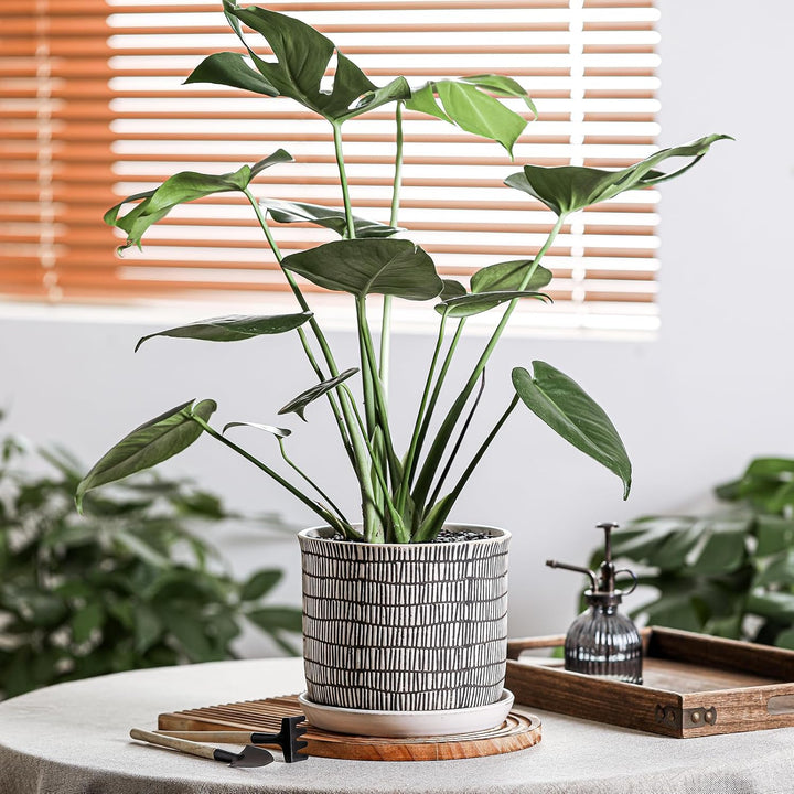 Chubacoo 8 Inch Plant Pot: Ceramic Planter with Drainage Hole & Saucer - Cylinder Flowerpot for Indoor & Outdoor Plants - with Separate Tray for Home & Office - Striped Design - Just Closeouts Canada Inc.