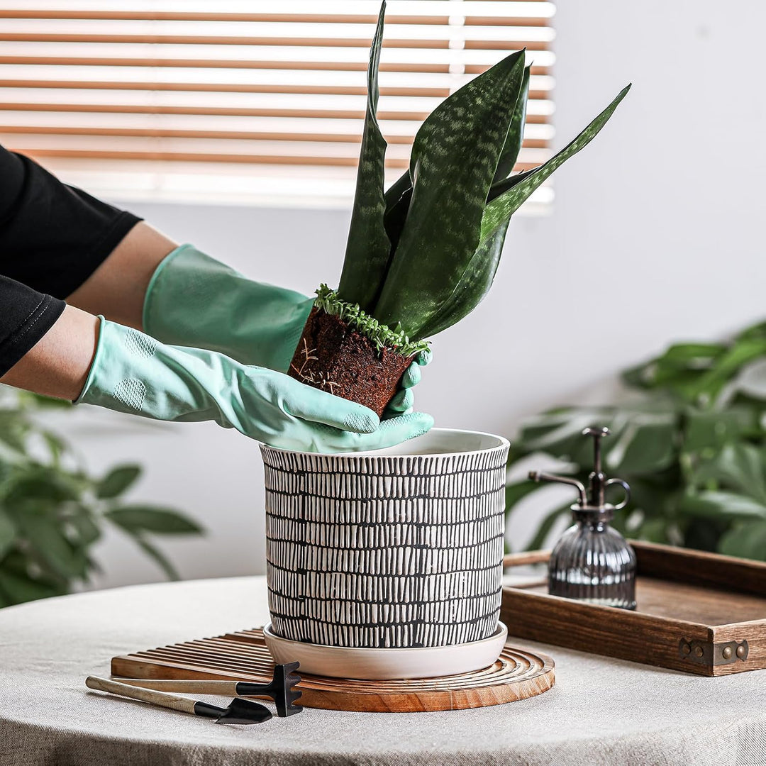 Chubacoo 8 Inch Plant Pot: Ceramic Planter with Drainage Hole & Saucer - Cylinder Flowerpot for Indoor & Outdoor Plants - with Separate Tray for Home & Office - Striped Design - Just Closeouts Canada Inc.