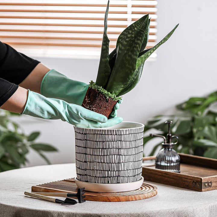 Chubacoo 8 Inch Plant Pot: Ceramic Planter with Drainage Hole & Saucer - Cylinder Flowerpot for Indoor & Outdoor Plants - with Separate Tray for Home & Office - Striped Design - Just Closeouts Canada Inc.
