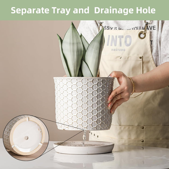 Chubacoo 8 Inch Plant Pot: Ceramic Planter with Drainage Hole & Saucer - Flowerpot for Indoor & Outdoor Plants with Separate Tray for Home & Office - Honeycomb Design, Cream White - Just Closeouts Canada Inc.