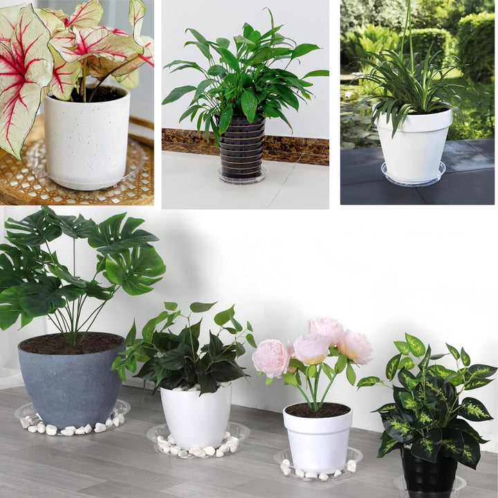 Clear Plastic Plant Pot Saucers, 24-Piece Assorted Size Set - Just Closeouts Canada Inc.