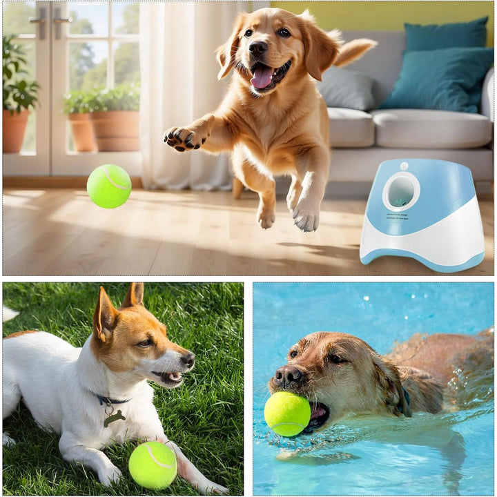 Dog Ball Thrower Launcher, Automatic Ball Launcher for Dogs with 12 Tennis Balls, Thrower Distance 10 - 30ft,interacive Dog Toys Tennis Ball Launcher Indoor/Outdoor for Small Dogs(Blue) - Just Closeouts Canada Inc.