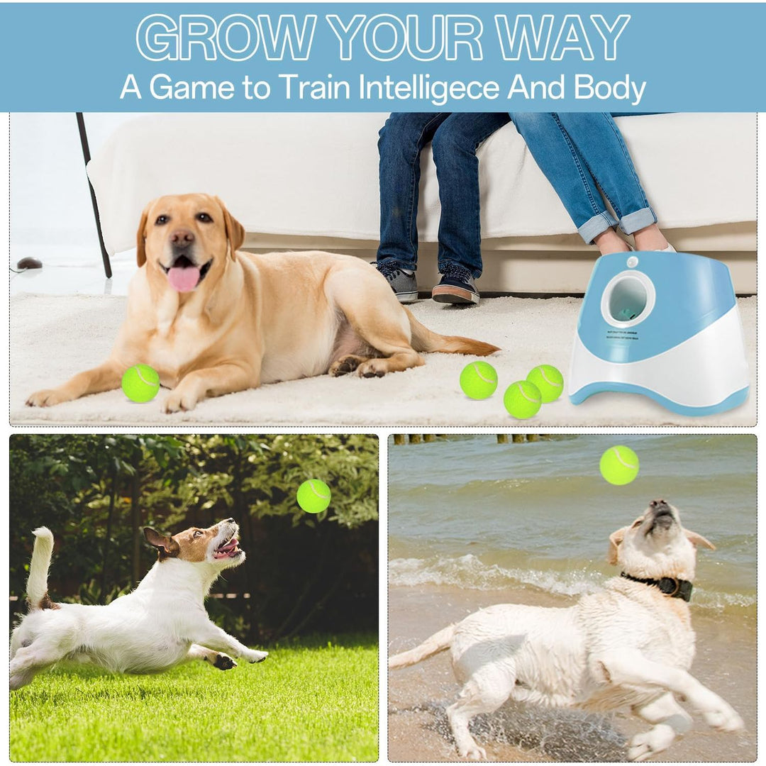 Dog Ball Thrower Launcher, Automatic Ball Launcher for Dogs with 12 Tennis Balls, Thrower Distance 10 - 30ft,interacive Dog Toys Tennis Ball Launcher Indoor/Outdoor for Small Dogs(Blue) - Just Closeouts Canada Inc.