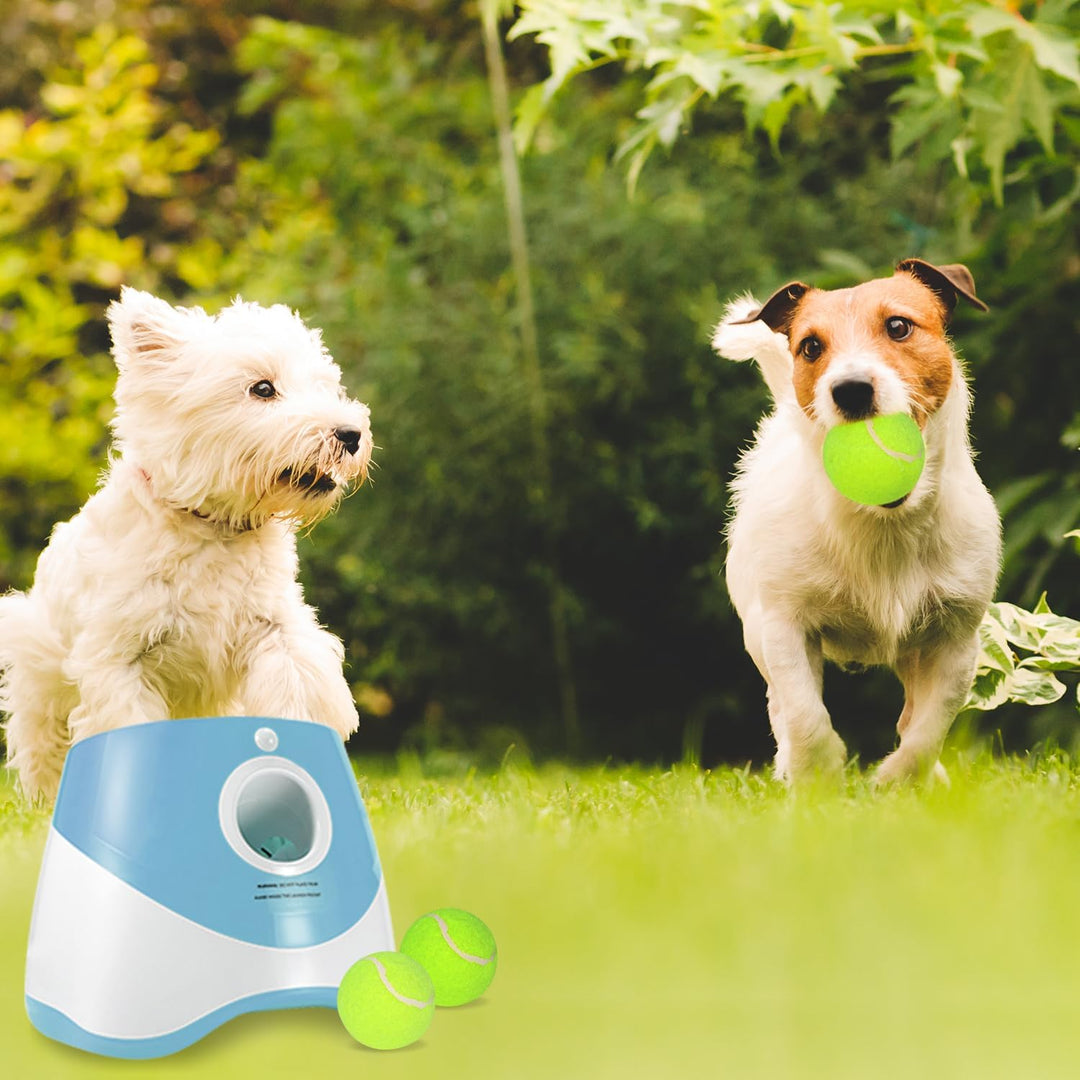 Dog Ball Thrower Launcher, Automatic Ball Launcher for Dogs with 12 Tennis Balls, Thrower Distance 10 - 30ft,interacive Dog Toys Tennis Ball Launcher Indoor/Outdoor for Small Dogs(Blue) - Just Closeouts Canada Inc.