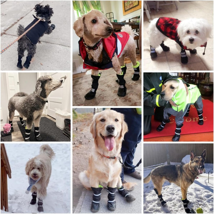 Dog Boots for Small Medium Dogs, 4 Pcs Size 2(S), Waterproof Rain Booties, Anti - Slip Winter Doggy Boots, Walking Doggie Shoes for Summer Hot Pavement Paw Protectors, Adjustable, Black - Just Closeouts Canada Inc.X002KZNRRR