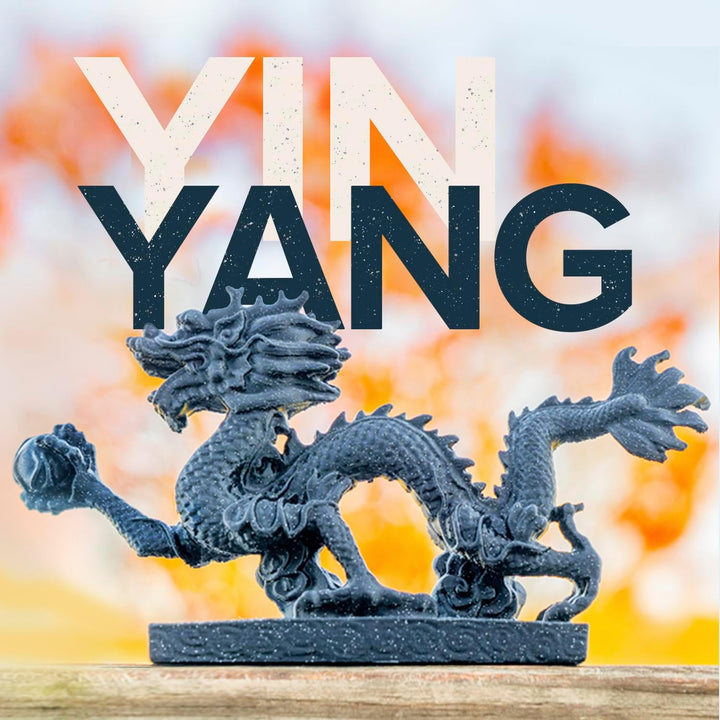 Dual Color PLA Filament, Marble White and Galaxy Black Yin - Yang 1.75mm 3D Printing Filament, 3D Printer PLA Filament, 1kg Spool (2.2lb) - Just Closeouts Canada Inc.CA09002