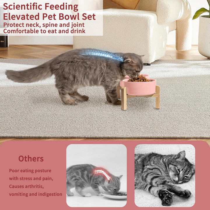 Elevated Ceramic Dog Bowl Set - Raised Feeding Bowls with Non - Slip Bamboo Stand - Small Pet Dishes for Food and Water - Ideal for Cats and Puppies, Pink 480 ML - Just Closeouts Canada Inc.