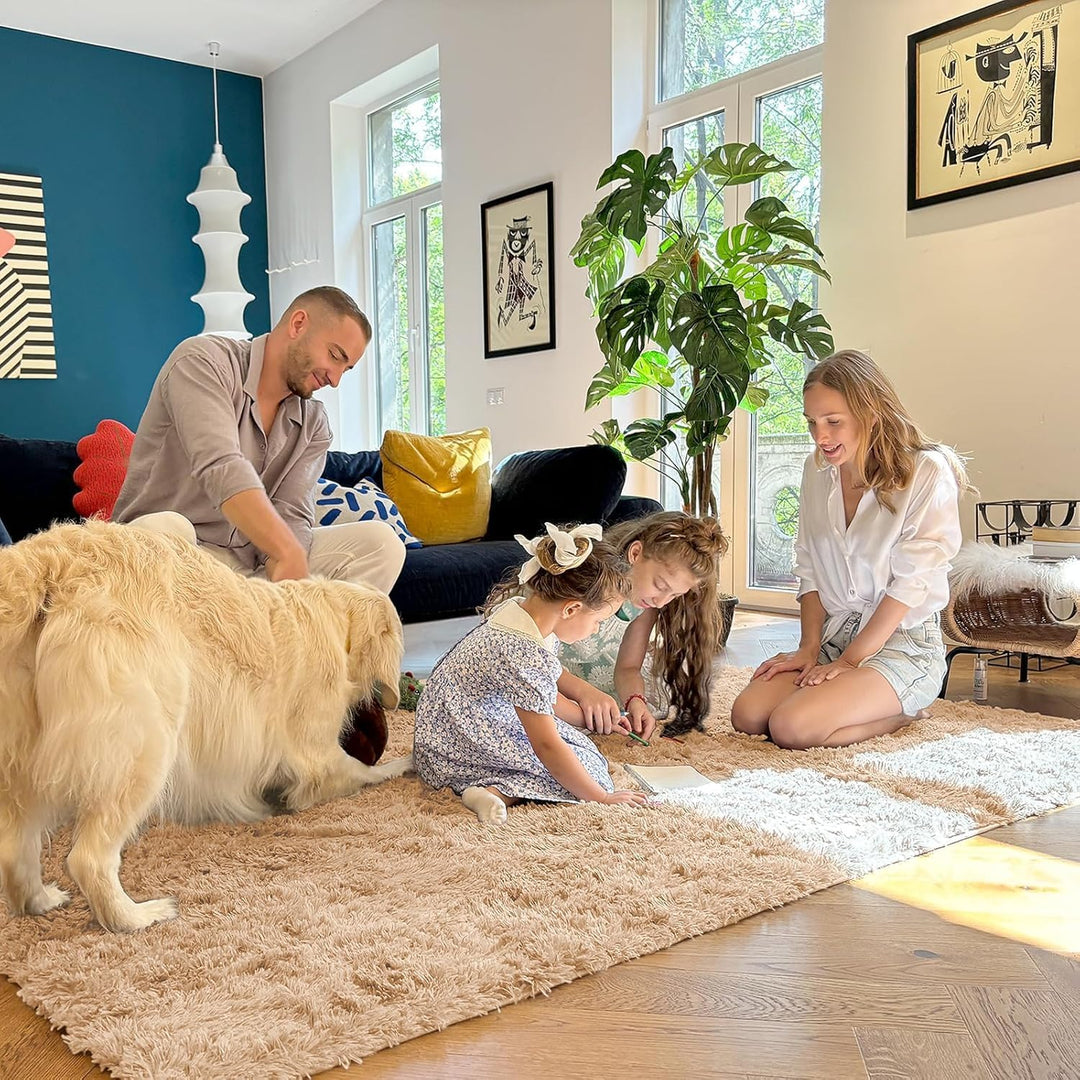 Fluffy Area Rug for Living Room Bedroom, 5x8 Feet Soft Shaggy Non - Slip Carpet, Indoor Modern Plush Area Rugs for Kids Girls and Boys, Dorms, Nursery Rooms, Home Decor, Beige - Just Closeouts Canada Inc.