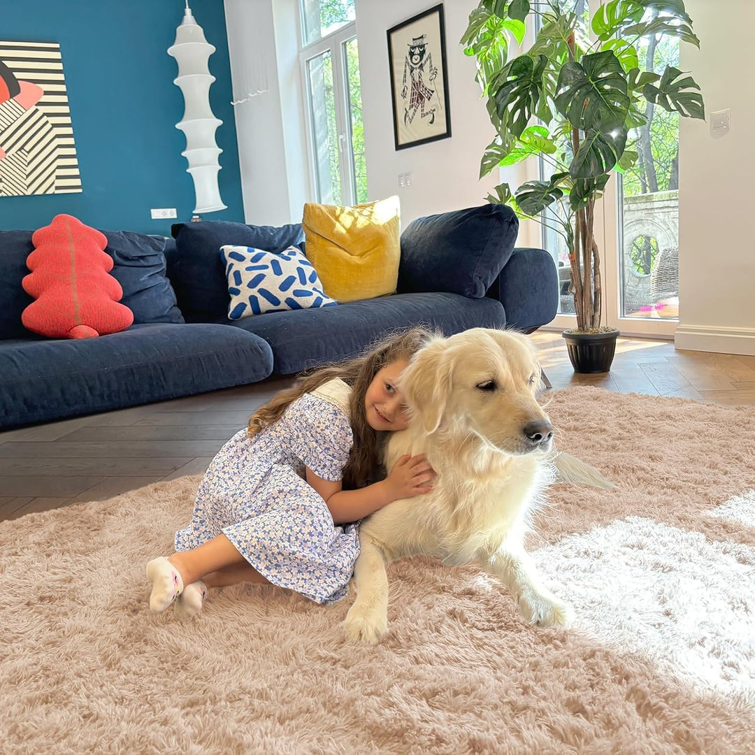 Fluffy Area Rug for Living Room Bedroom, 5x8 Feet Soft Shaggy Non - Slip Carpet, Indoor Modern Plush Area Rugs for Kids Girls and Boys, Dorms, Nursery Rooms, Home Decor, Beige - Just Closeouts Canada Inc.