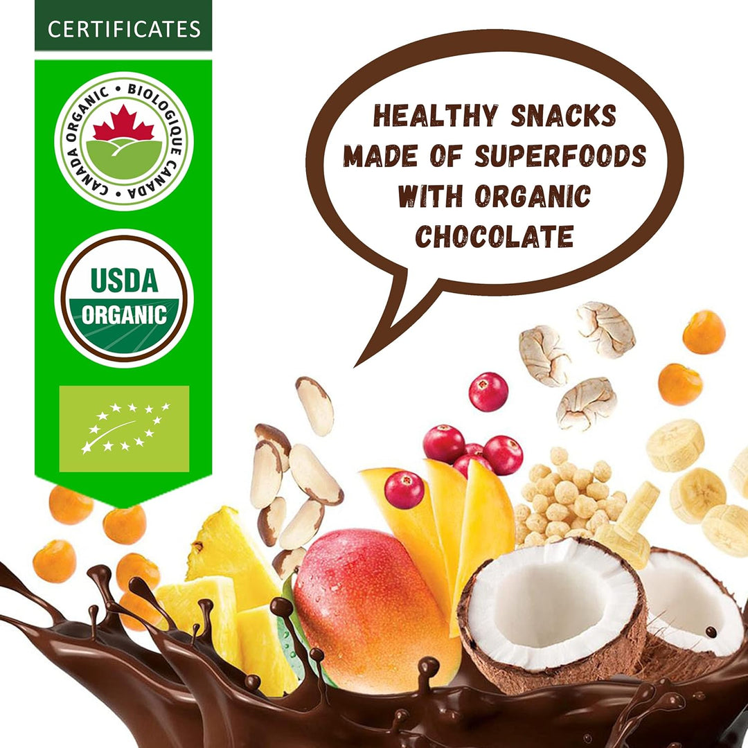 Green Sun Foods - Dark Chocolate Covered Brazil Nuts, 91G - Just Closeouts Canada Inc.