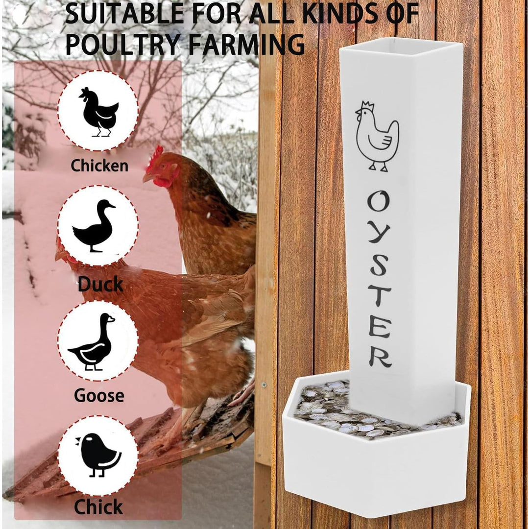 White oyster shell feeder mounted on coop wall
