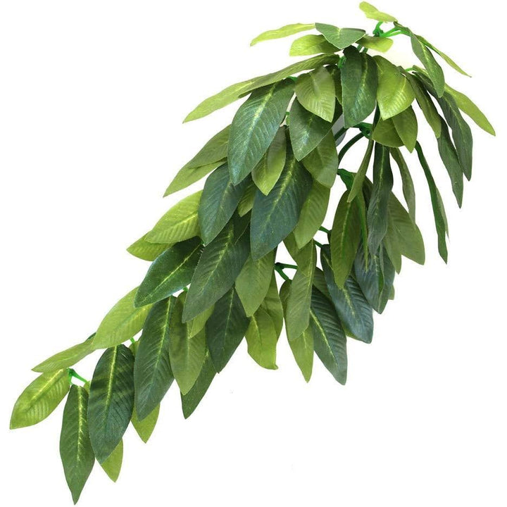 Hanging Terrarium Plant with Suction Cup – Green, 12 Inch - Just Closeouts Canada Inc.