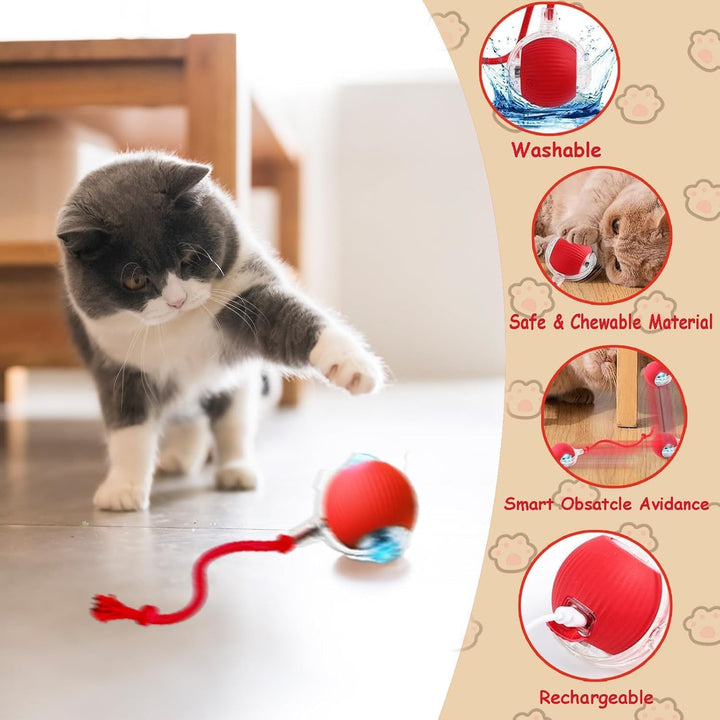 Interactive Cat Ball Toy for Indoor Cats - Fast Rolling Move On Carpet, Smart Obstacle Avoidance, 360° Smart Automatic Self Rolling, Cat Puzzle Toys for Bored Indoor Adult Cats and Dog (1pcs) - Just Closeouts Canada Inc.X004OL7T01